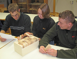 Die Holzmusterk&auml;sten erleichtern das Auseinanderhalten der Holzarten