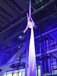 Eine Seilk&uuml;nstlerin faszinierte rund 500 G&auml;ste in der Nieders&auml;chsischen Landesvertret