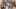 Praxismesse im Lichthof