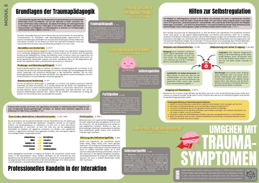 Modul 5 Umgehen Traumasymptomen